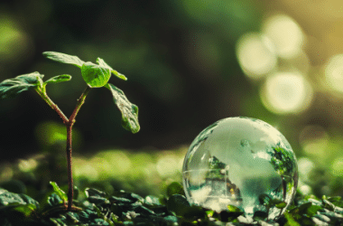 A forest floor with a new plant and bubble of water.